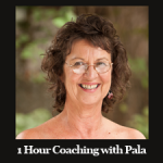 1 Hor coaching with Pala